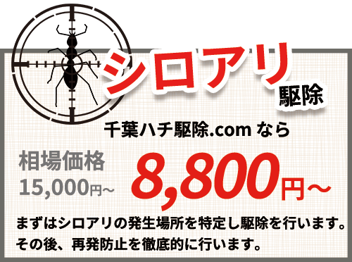 ハチ駆除